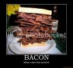 bacon-bacon-sandwich-food-funny-dem.jpg