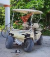 Deadly+Accident+Golf+Cart.jpg