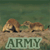 funny-canadianmilitary.gif