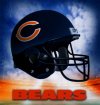 Bear%20logo.jpg