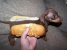 tumblr_kt67ccXIiC1qzxzwwo1_500.jpg