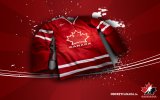 red-olympic-hockey-jersey.jpg