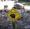 hippo-splatter-zone.jpg