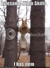 funny-pictures-ninja-skills-squirre.jpg