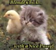 blonde_chick.jpg