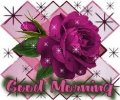 good_morning_purple_rose.jpg
