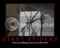 GiantSpiders.jpg