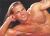 SHAWN MICHAELS_ad.jpg