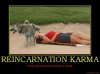 karma.jpg karma.jpg