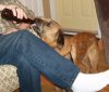 100_0070.jpg