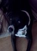 ForumRunner_20120314_223616.jpg