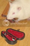 rugby_tinyviolin_2.jpg