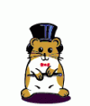 Dancing-hamster-animals-6251239-117-138.gif