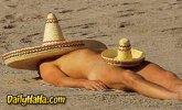 mexican_sunbathing.jpg mexican_sunbathing.jpg
