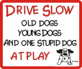 Stupid%2520Dog_drive_slow_640.png