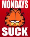 Mini-Posters-Garfield--Mondays-Suck--330314.jpg