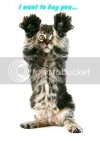 Cat-hug.jpg