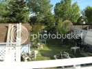 backyard1.jpg