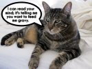 tabs-the-mind-reader.jpg