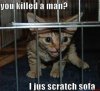 LOLCat [Prison].jpg