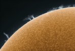 sun_photo_closeup_1_friedman.jpg