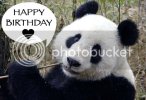 panda.jpg