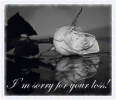 70832.gif
