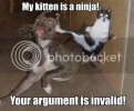 Your_Argument_is_invalid_ninjacat.jpg