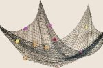 fish_net.jpg
