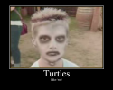 Turtles.png