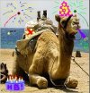 birthdaycamel.jpg