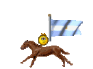 Argentinaflagandsmileyonhorse.gif
