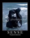 sense.jpg