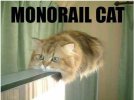 lolcat_monorail.jpg
