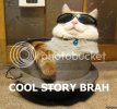 guido-cat.jpg