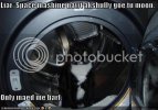 catdryer.jpg