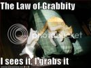 funny-pictures-cat-grabs-tail.jpg