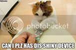lolcatz.jpg