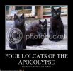 funny-pictures-four-lolcats-of-the-.jpg