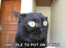 lol_pantz.jpg