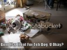funny-pictures-bomb-goes-off-in-livingroom.jpg
