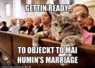 LOL-cats-lol-cats-3141354-500-362.jpg