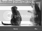 lolcats_wuzthisbig.jpg