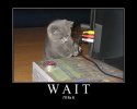 waitfixit.jpg