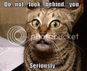 lol-cats_do-not-look-behind-you.jpg