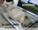 data+analysis.jpg
