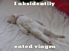 cat5.jpg