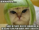 cat-helm-legendairy.jpg