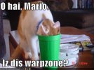 lolcat.jpg