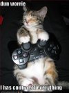 Funny-Cats-animal-humor-16335580-500-667.jpg